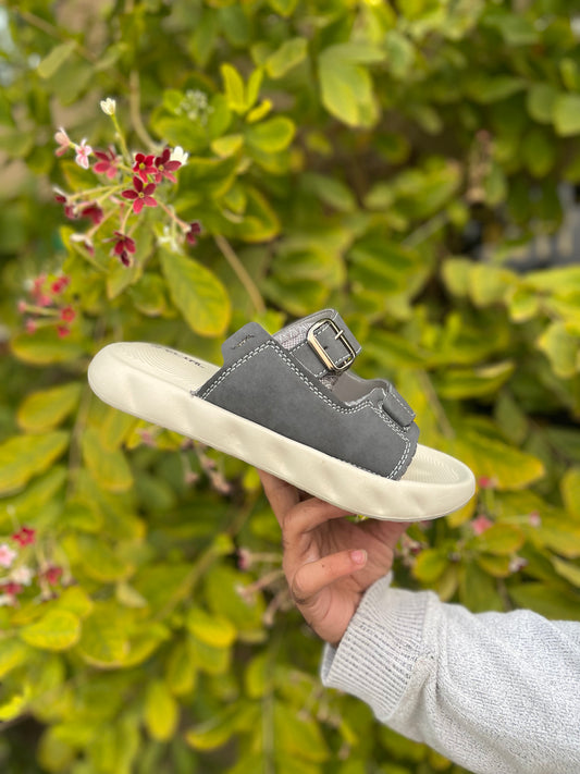 Old Money Slides - By Zurban