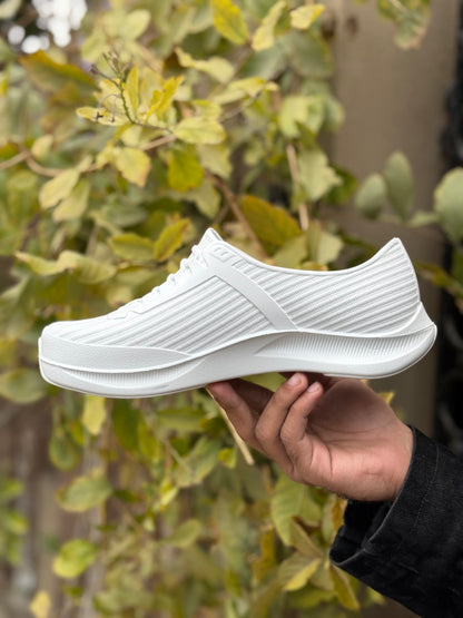 Skecher Off-Set  Shoes