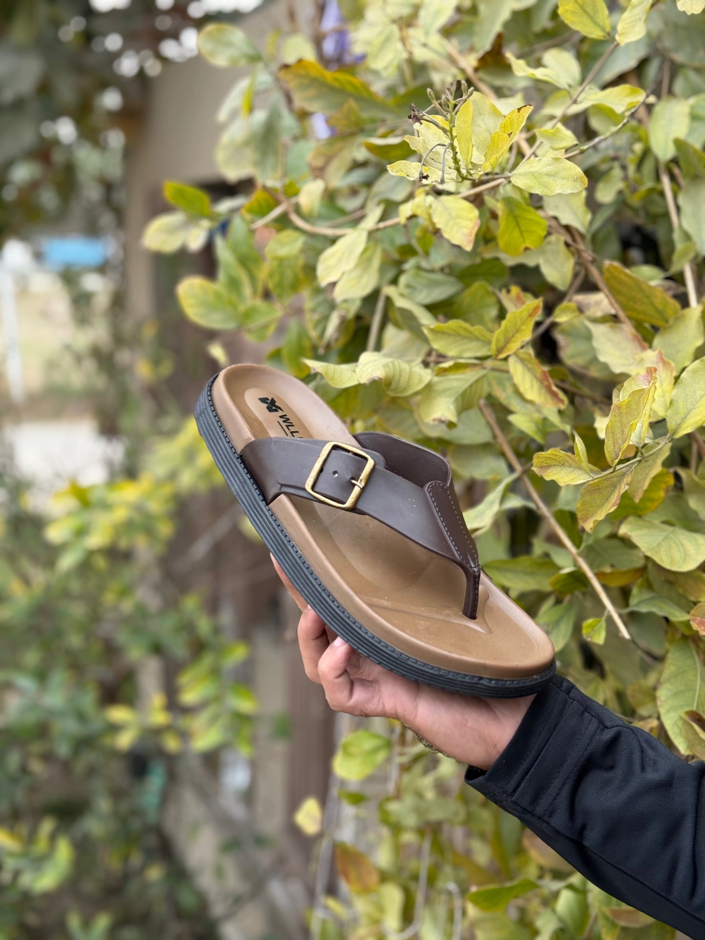 Zurban Formal Slides