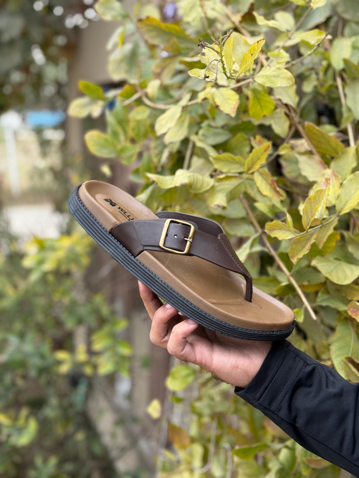 Zurban Formal Slides