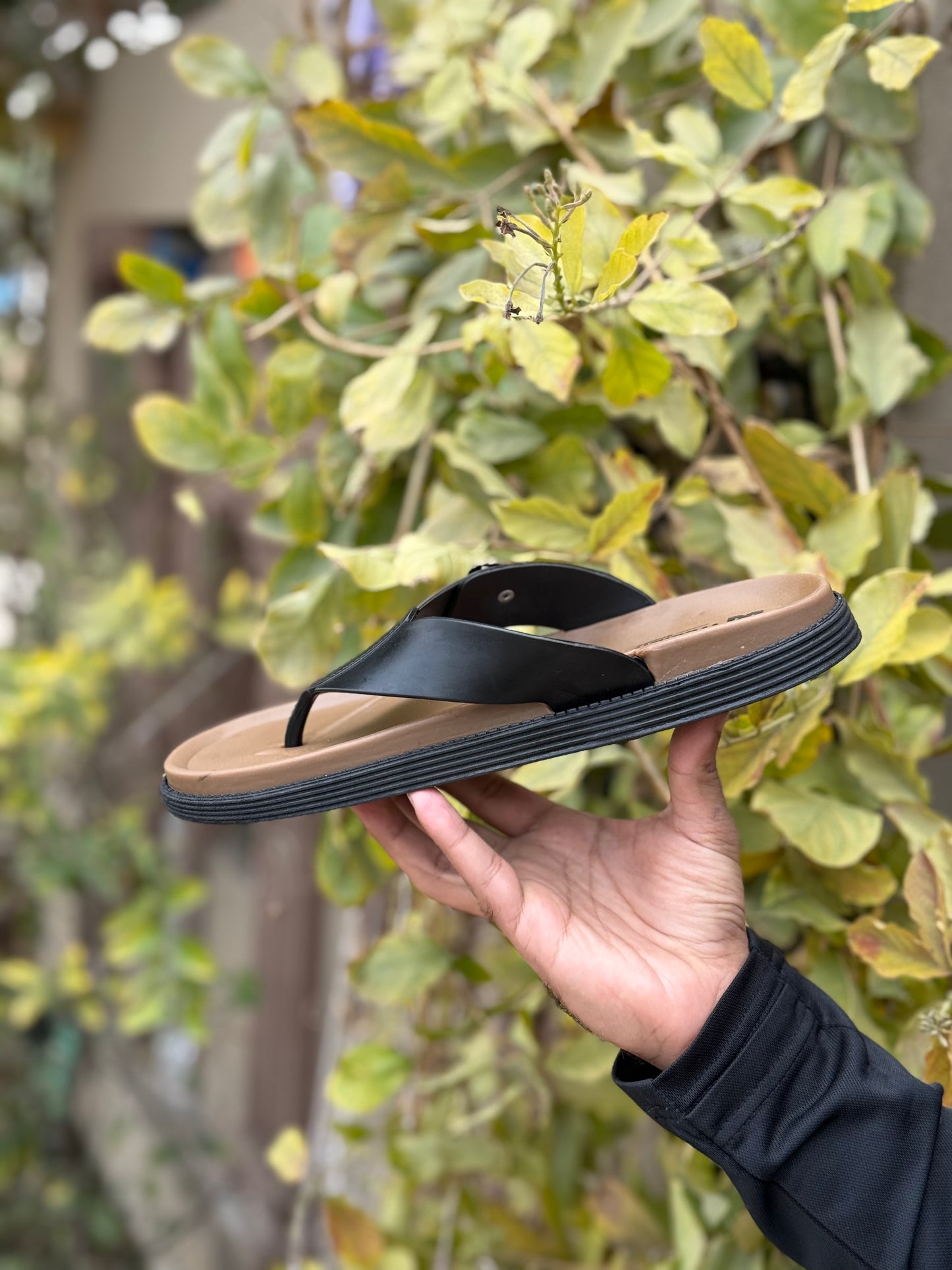 Zurban Formal Slides