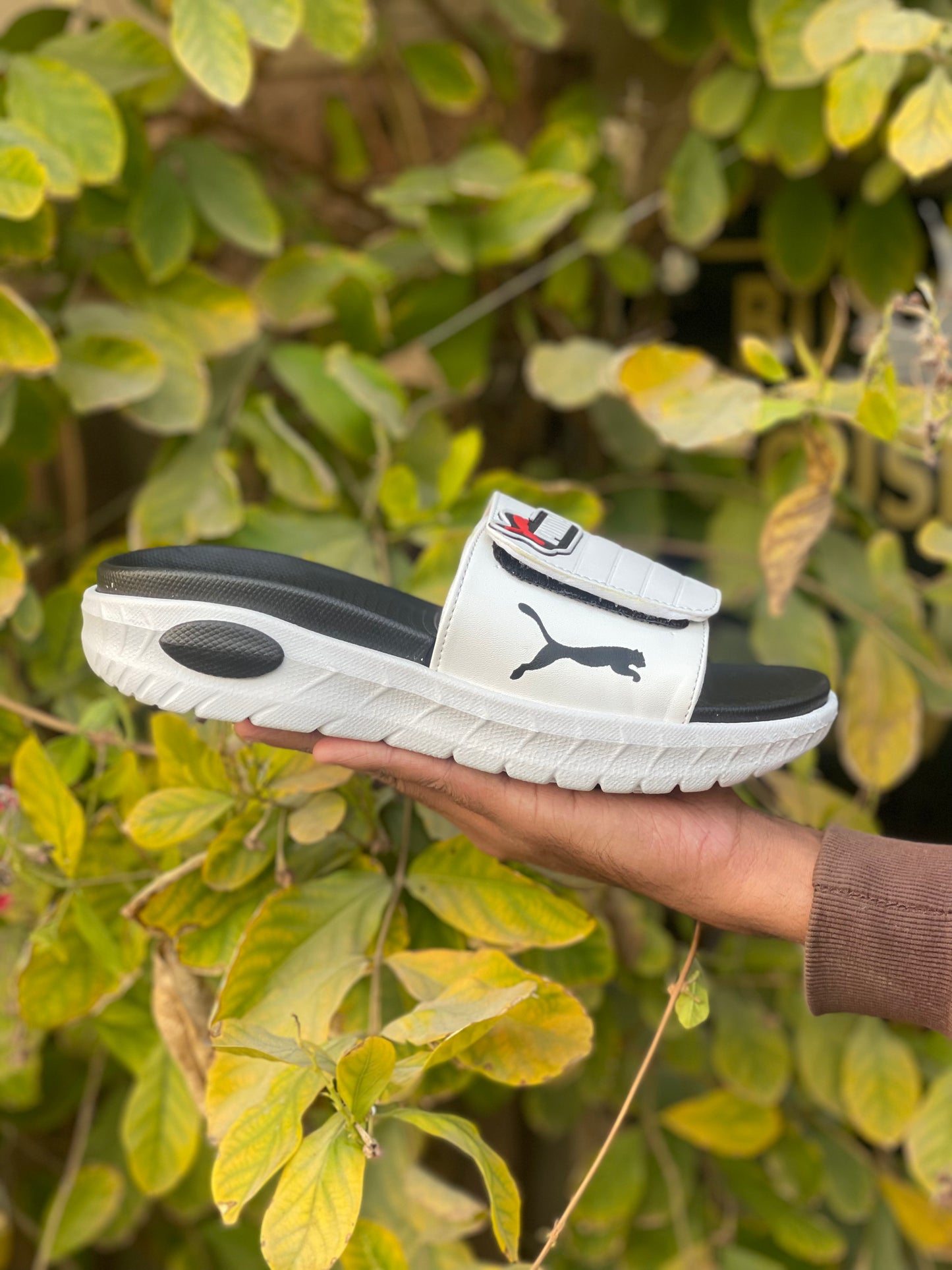 Puma Premium Slides - By Zurban