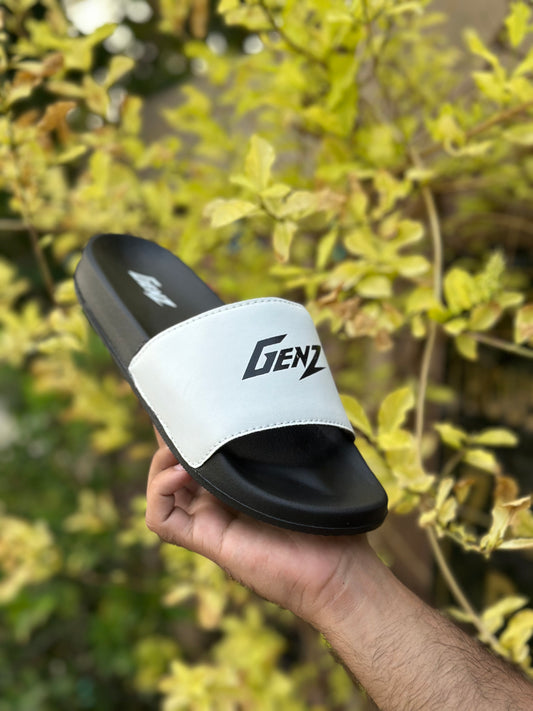 GENZ SLIDES - BY ZURBAN