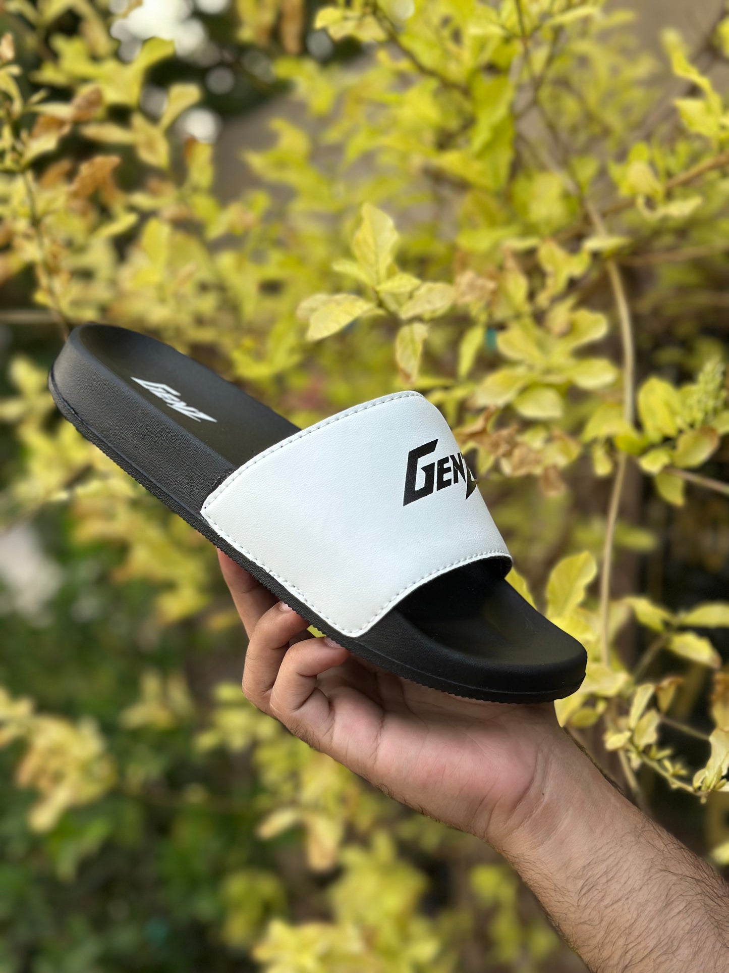 GENZ SLIDES - BY ZURBAN