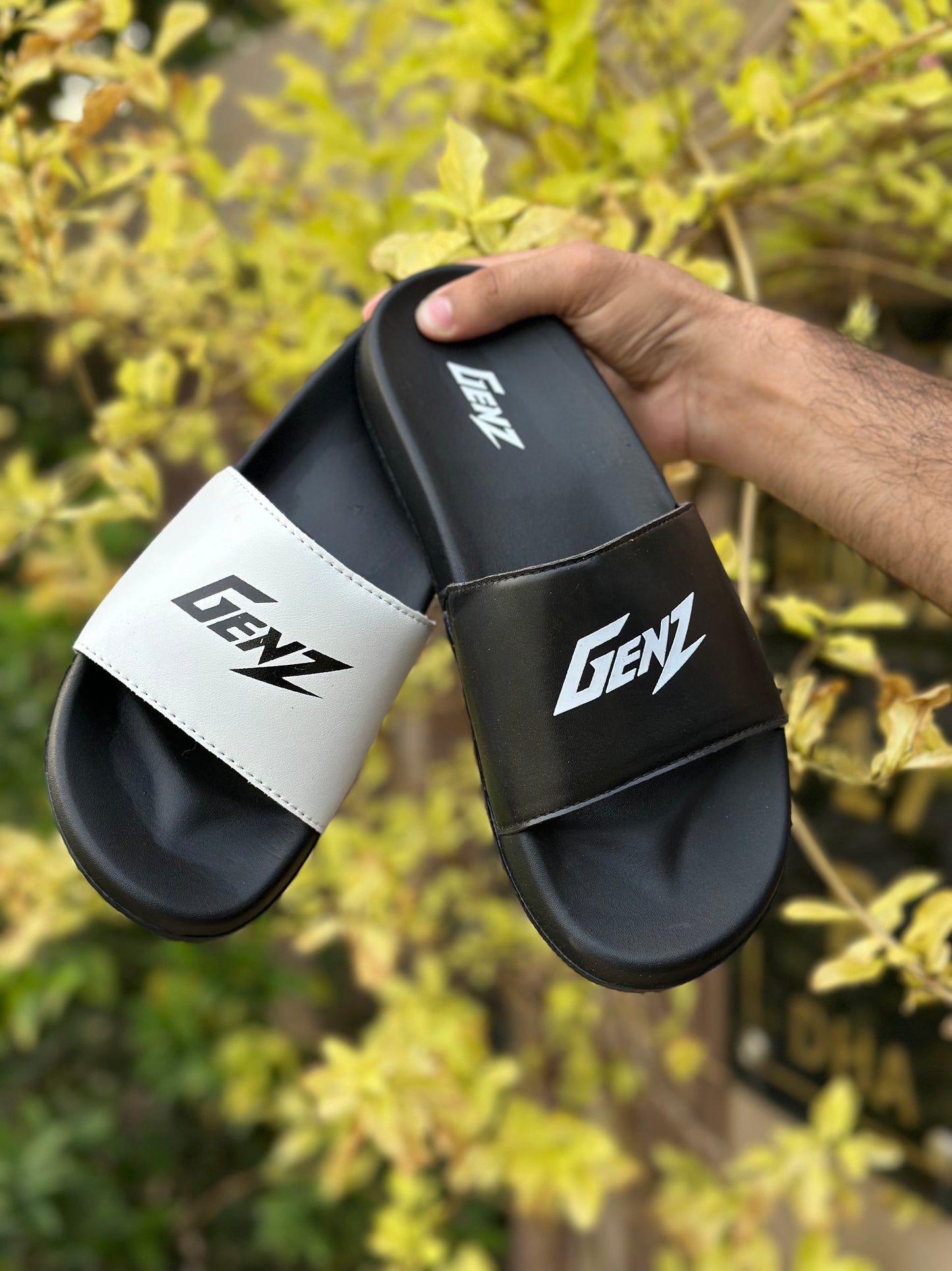 GENZ SLIDES - BY ZURBAN