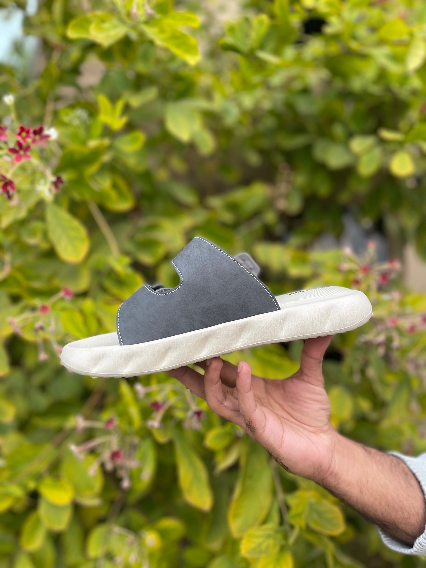 Old Money Slides - By Zurban