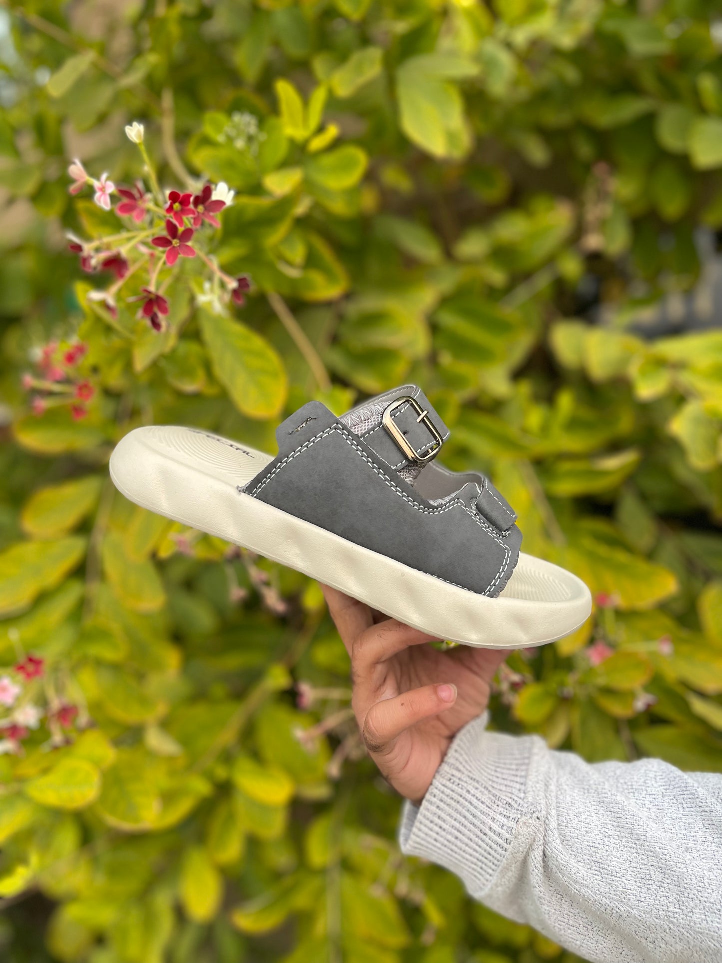 Old Money Slides - By Zurban