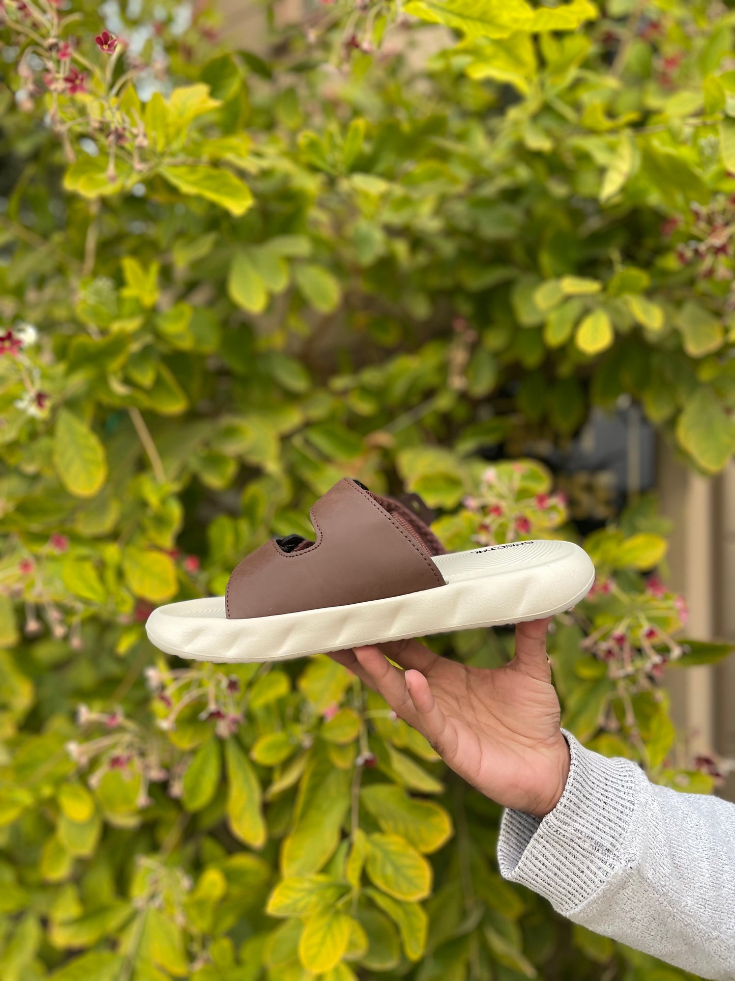 Old Money Slides - By Zurban