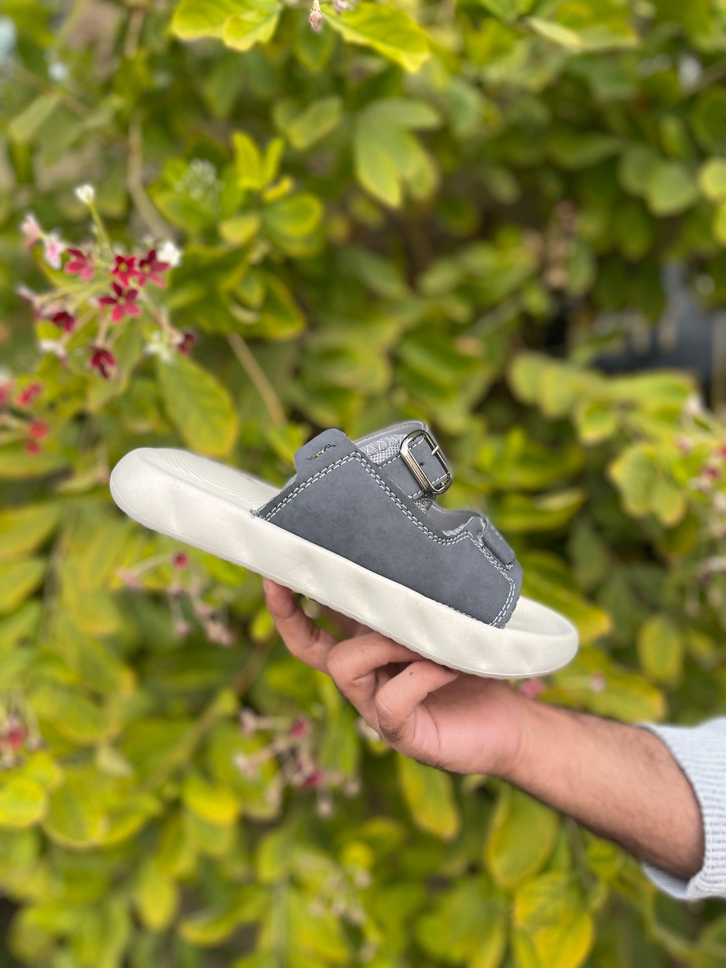 Old Money Slides - By Zurban